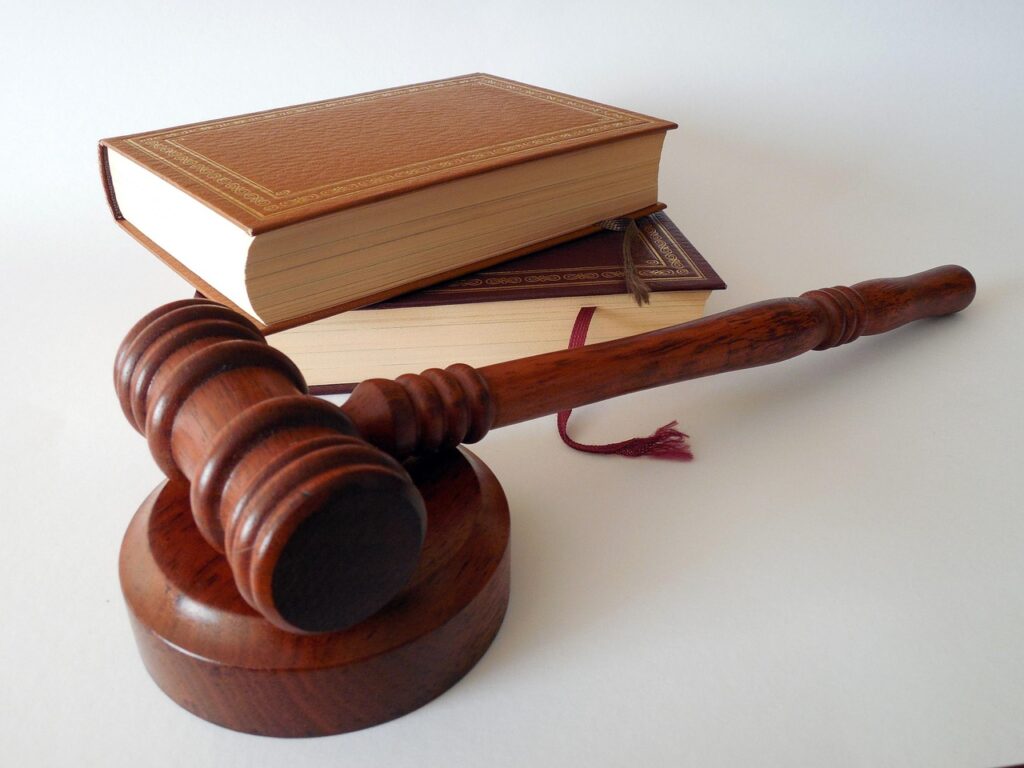 hammer, books, law, dish, lawyer, paragraphs, regulation, court of justice, a book, §, code, law books, judge, order, rule, disposal, auction, law, law, law, law, law, lawyer, lawyer